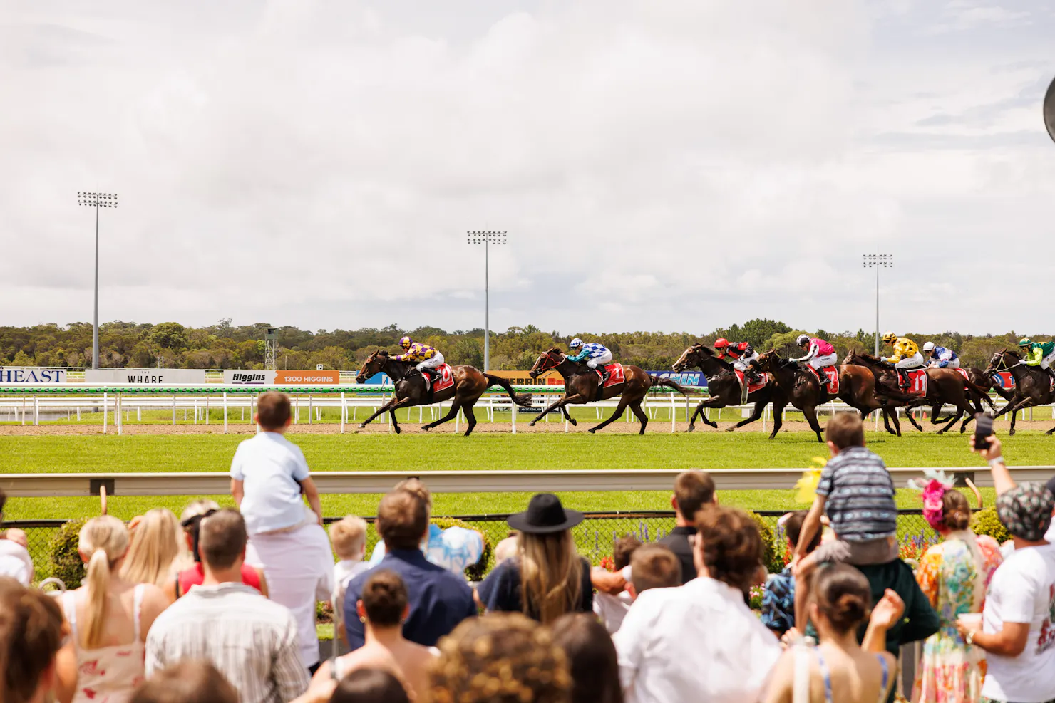 Crowd watching thoroughbred horses race on the turf