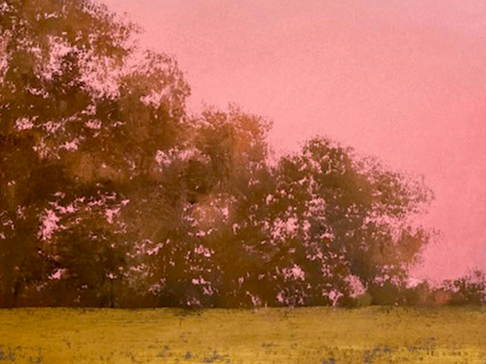 Fiona Kent