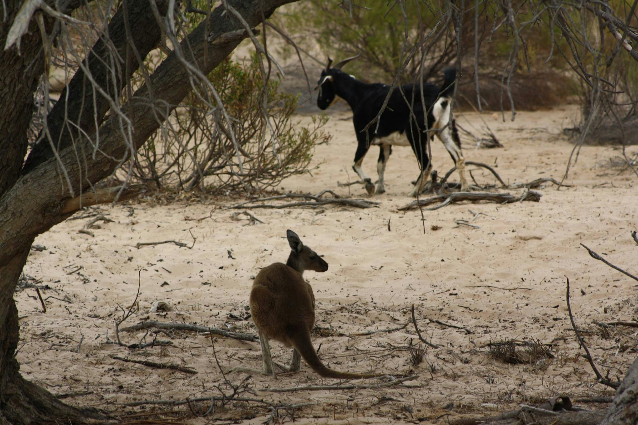 Kalbarri Boat Hire and Canoe Safari