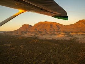 Scenic Flights