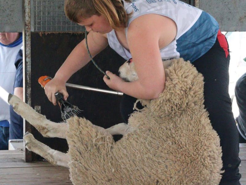 Image for Shearers Showdown Crookwell