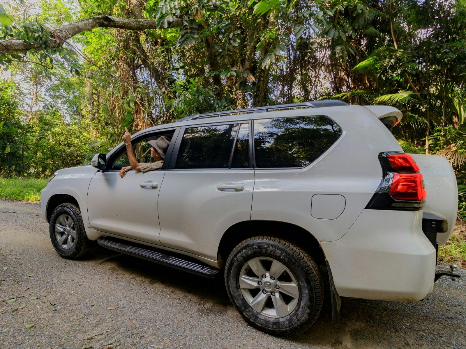 Guide educating the guest about the Daintree Rainforest in the 4WD vehicle Guide educating the guest about the Daintree Rainforest in the 4WD vehicle