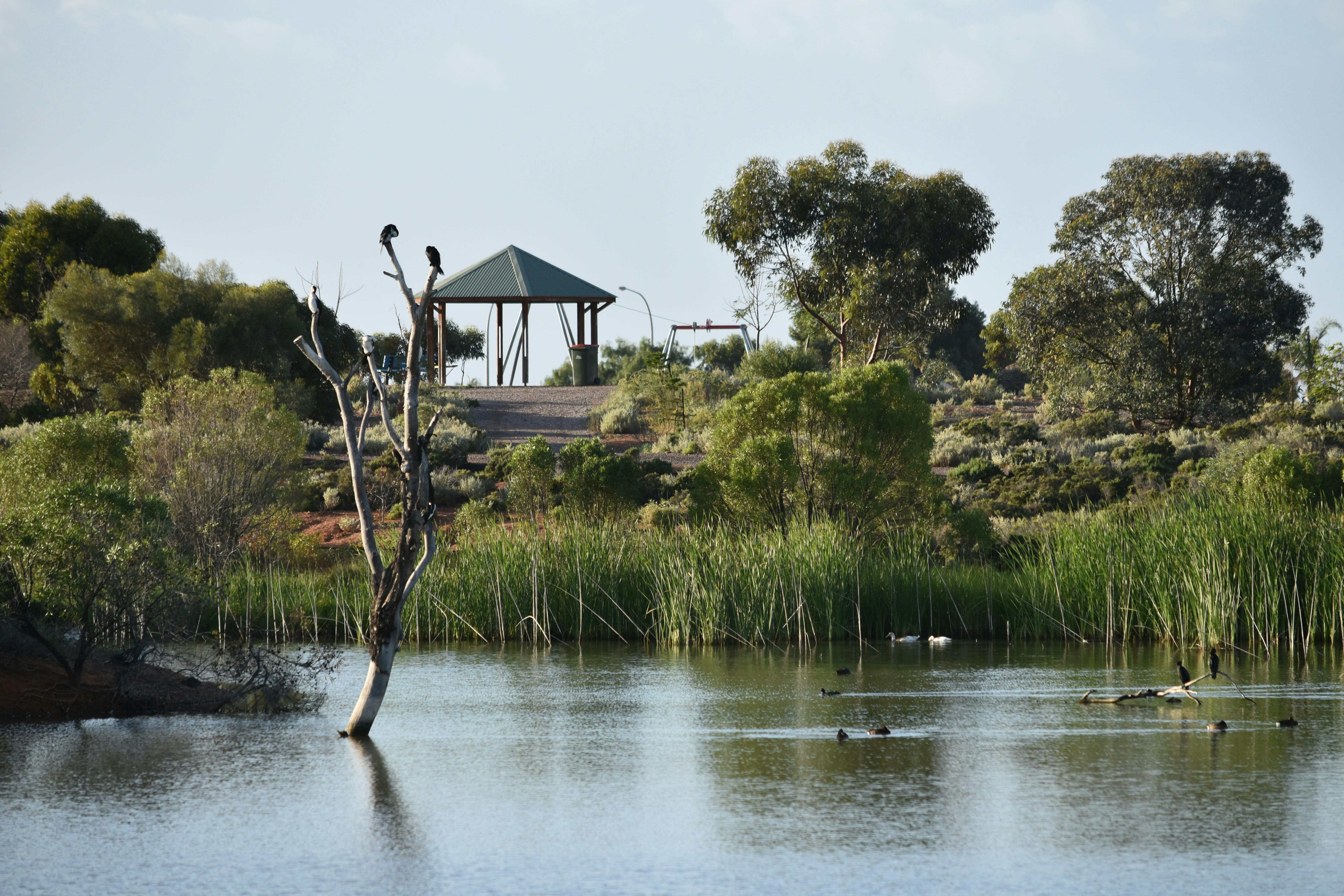 Jim Pollock Whyalla Wetlands