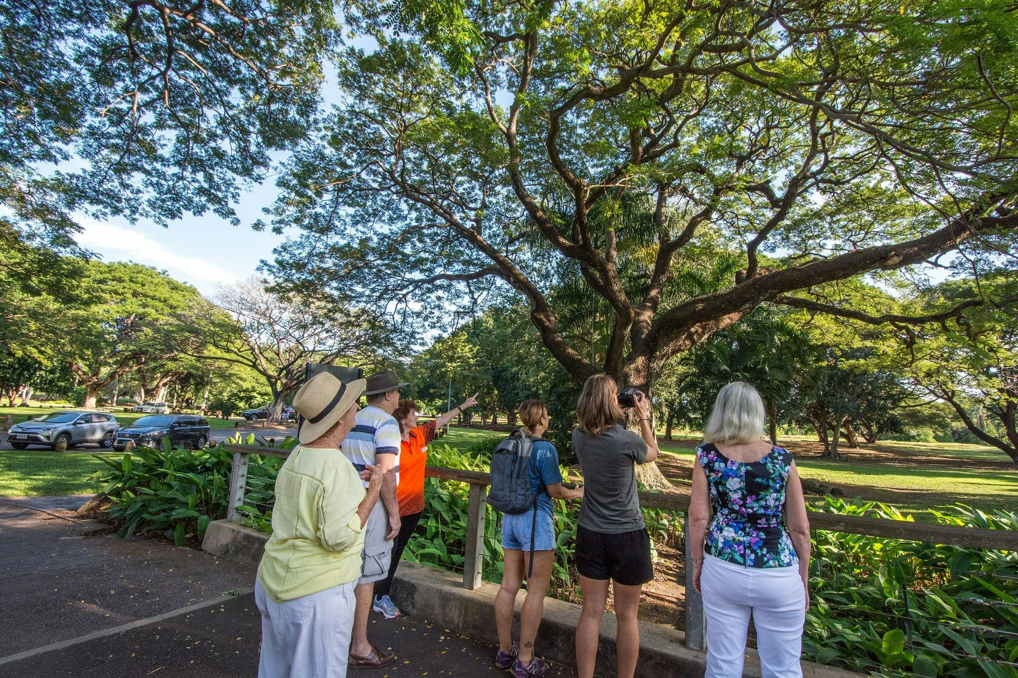 Walk Darwin guide points into a tree as guests look at something in the branches