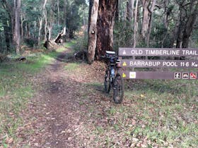 Old Timberline and Sidings Rail Trails
