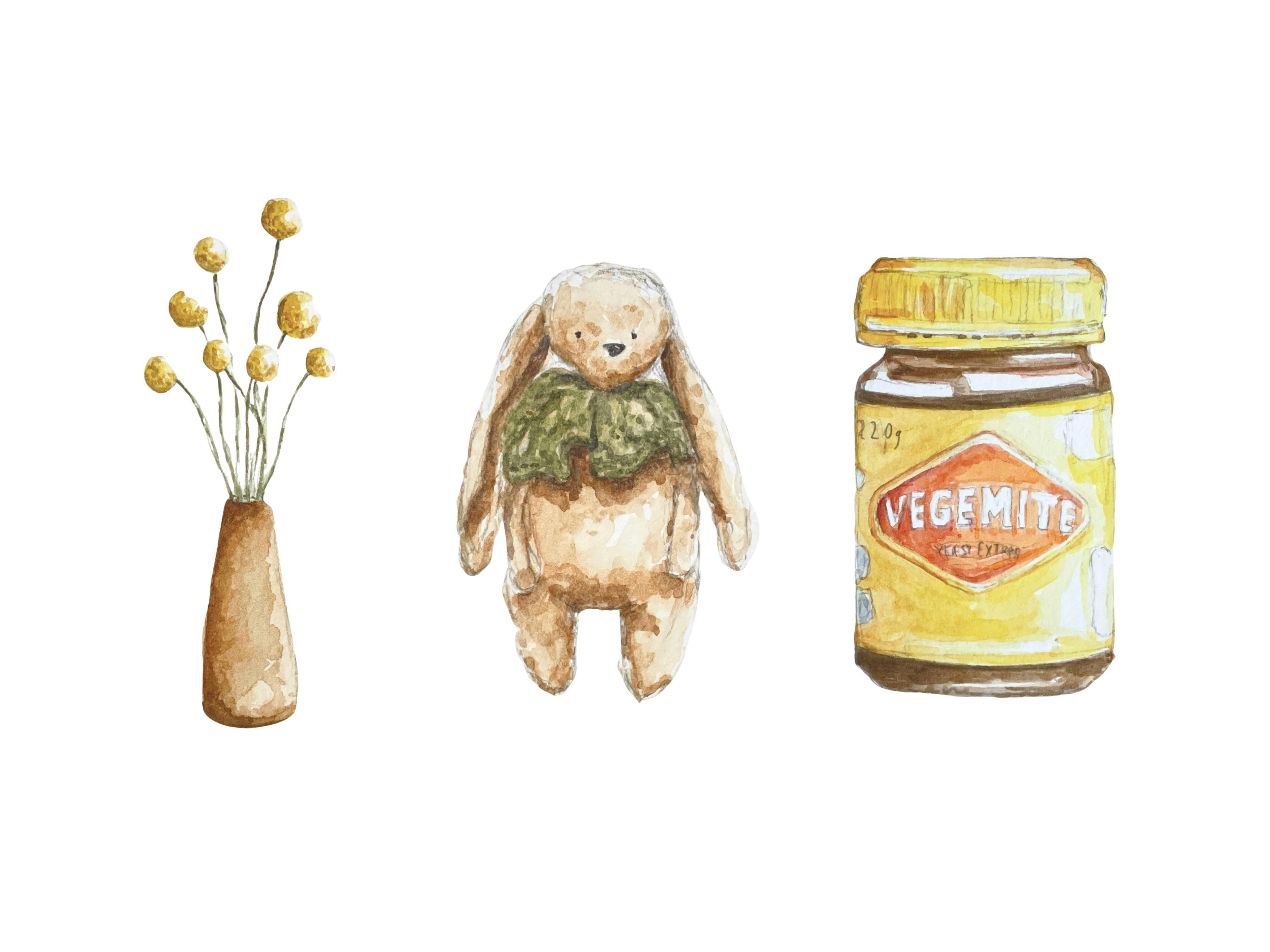 watercolours of Billy Buttons, teddy bear and vegemite