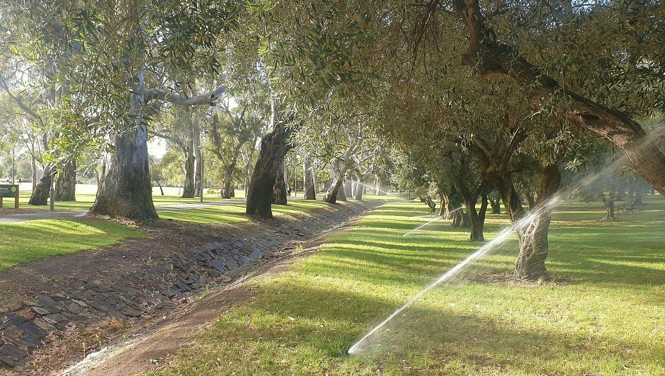 Northern half; Victoria Park/Pakapakanthi (Park 16)