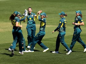 CommBank Women’s 1st T20I v New Zealand Cover Image