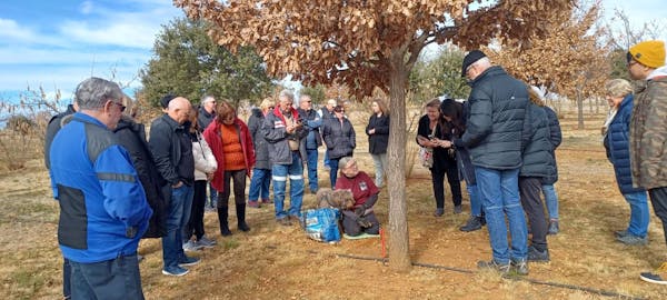Truffle Hunt and Lunch