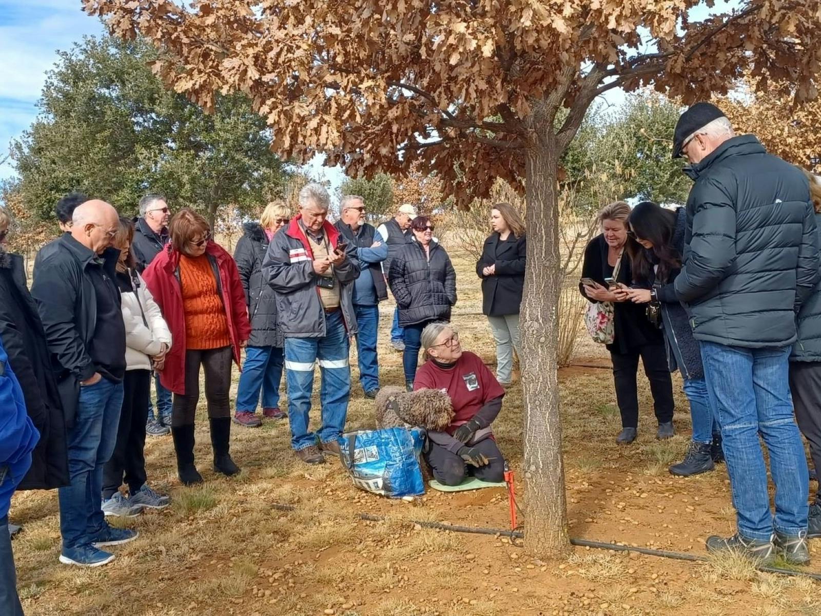 Macenmist Truffle Hunt and Lunch