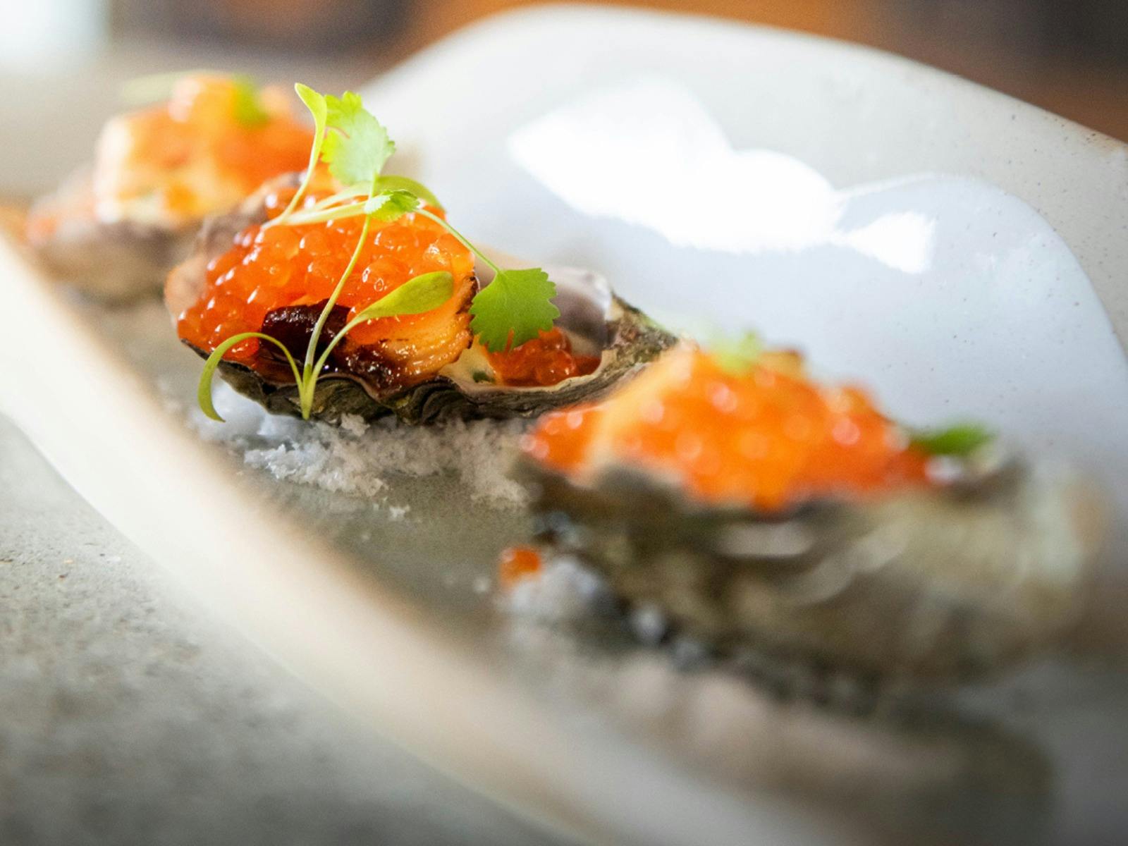 Oysters