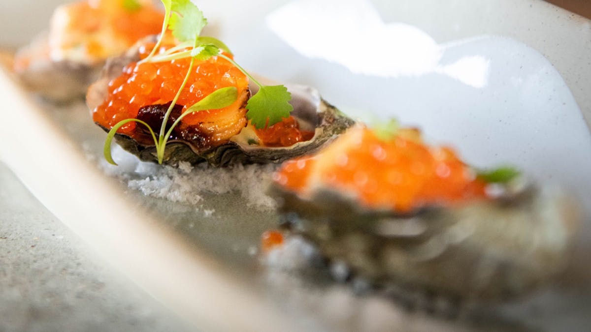 Oysters