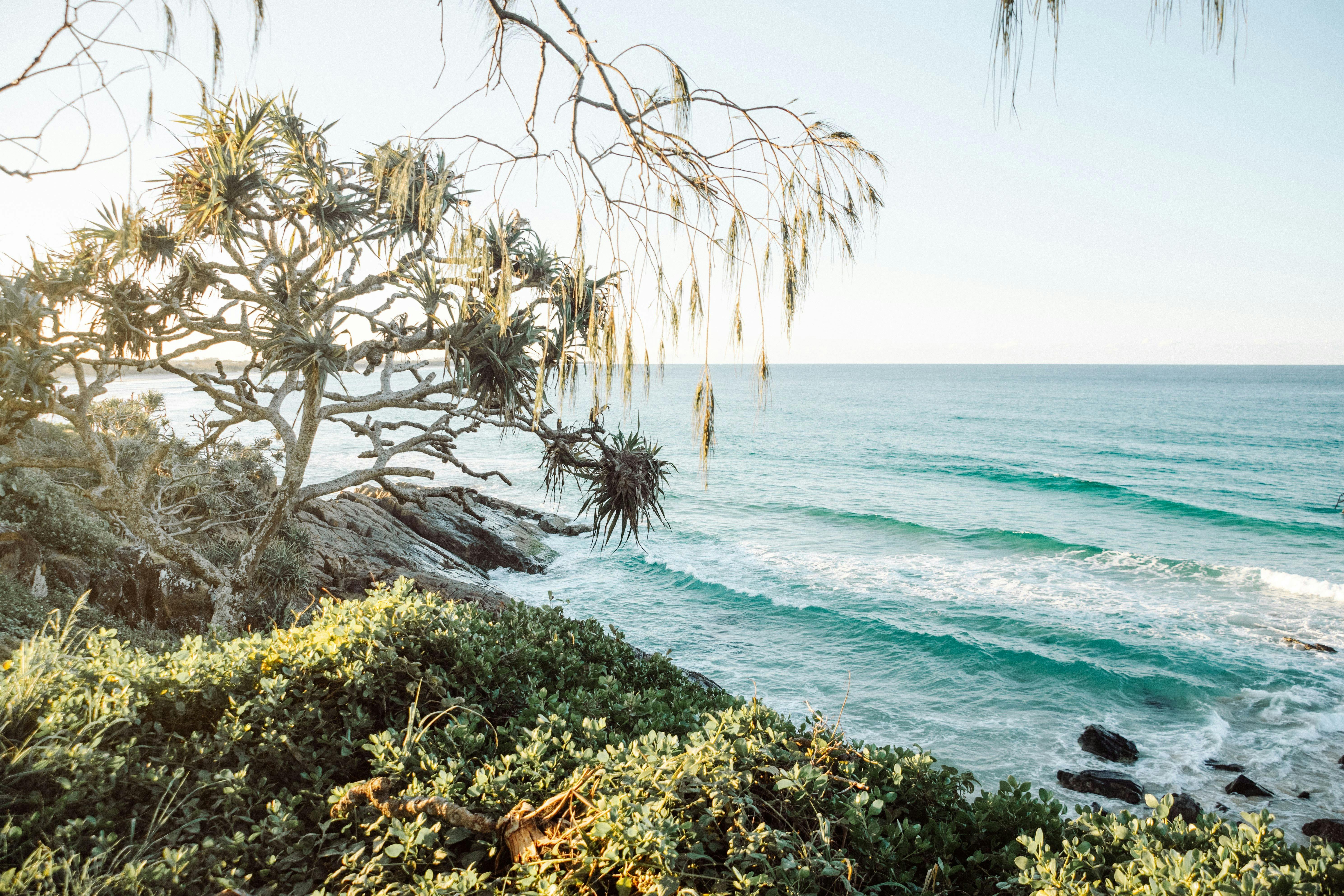 Stay Midweek and SAVE!