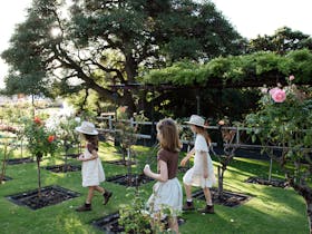 Children playing in the garden