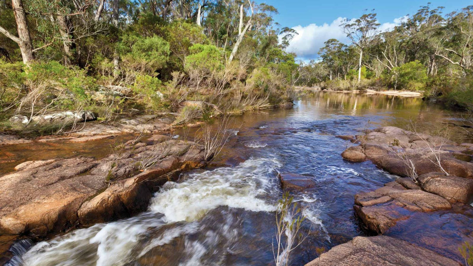 Little Dandahra Creek Walking Track