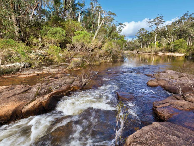 Little Dandahra Creek walking track, Gilbraltar Range National Park. Photo: Rob Cleary