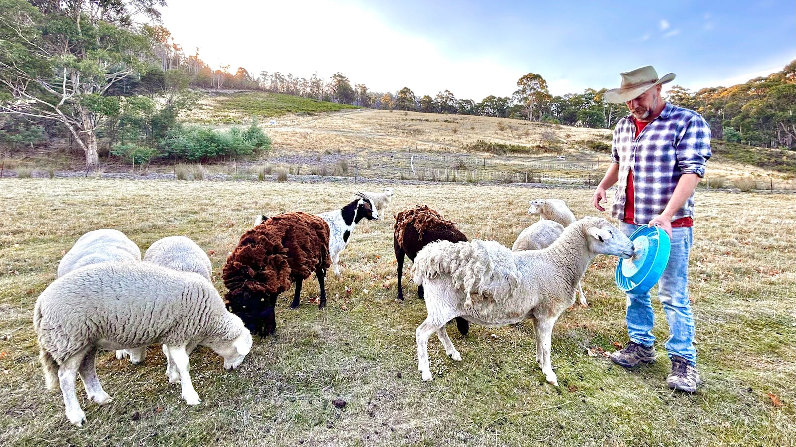 Farmer Steve with his Sheep