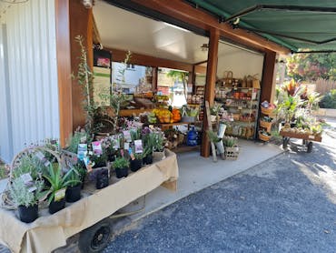 Rustic roadside stall with fresh local produce, products and plants