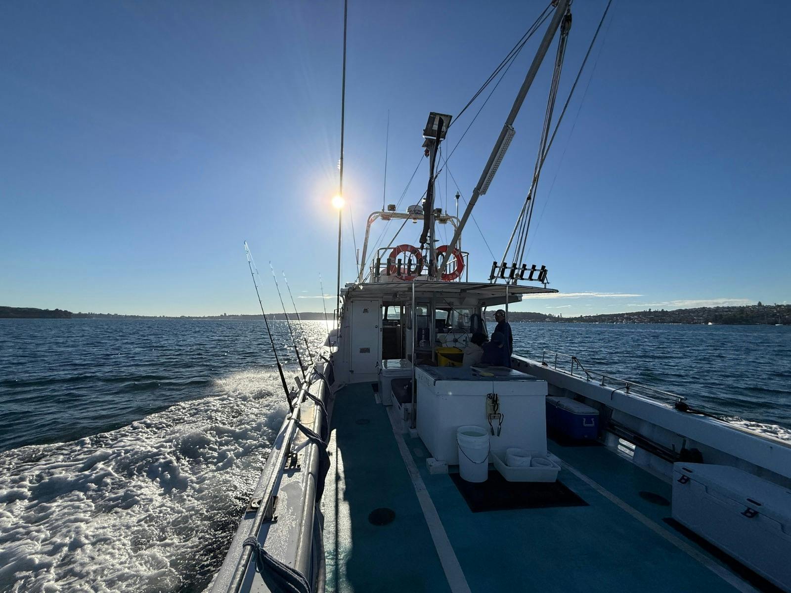 Sydney Ocean to Plate - Deep-sea Fishing & Seafood Experience