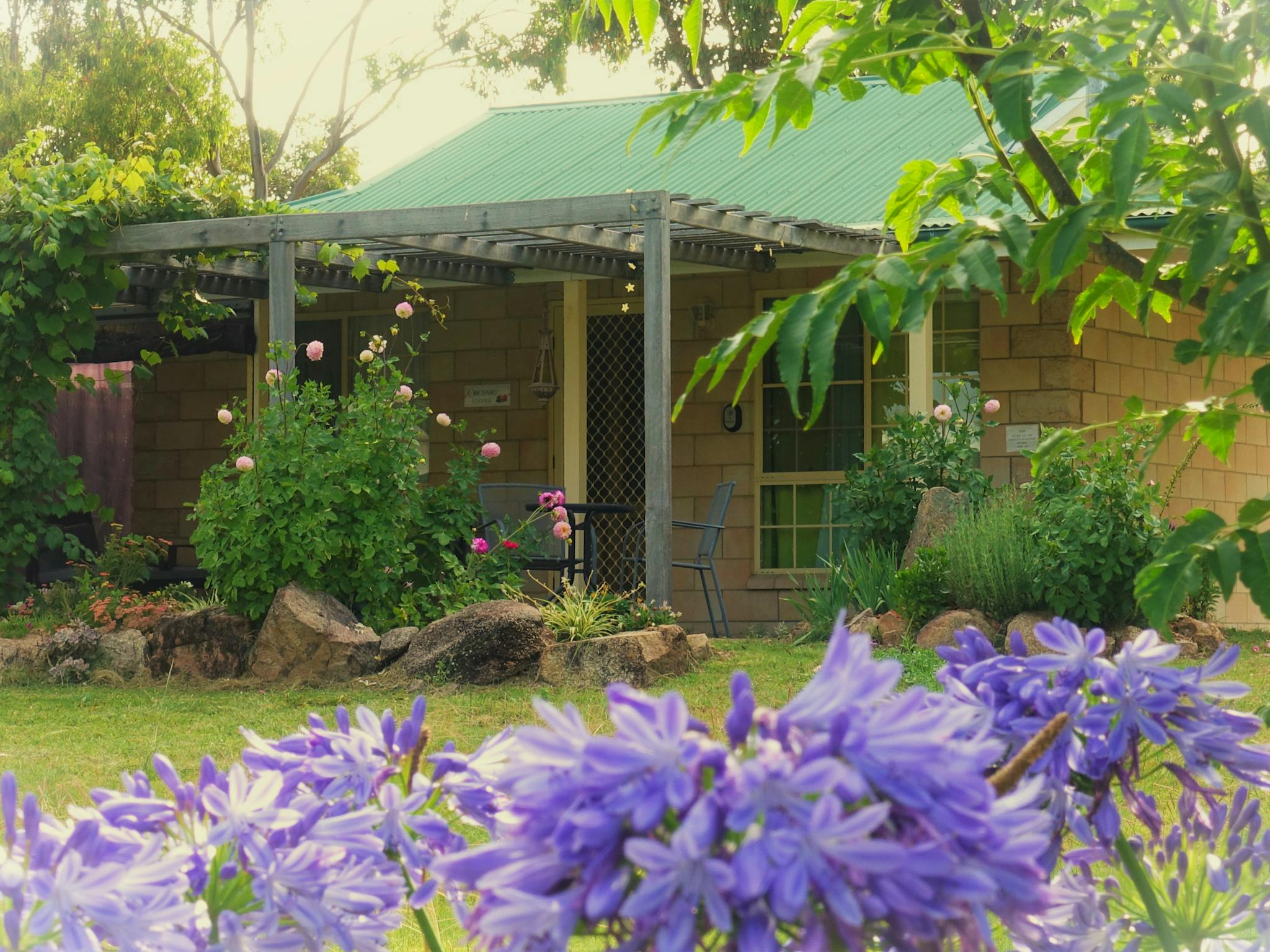 Front of Orchard Cottage, with full flower bloom over the patio Front of Orchard Cottage, with full flower bloom over the patio