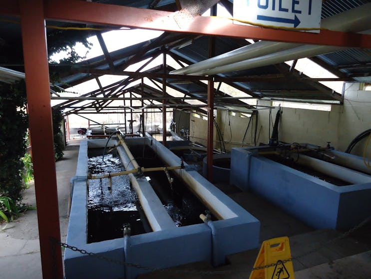 Eucumbene Trout Farm NSW Holidays & Things to Do