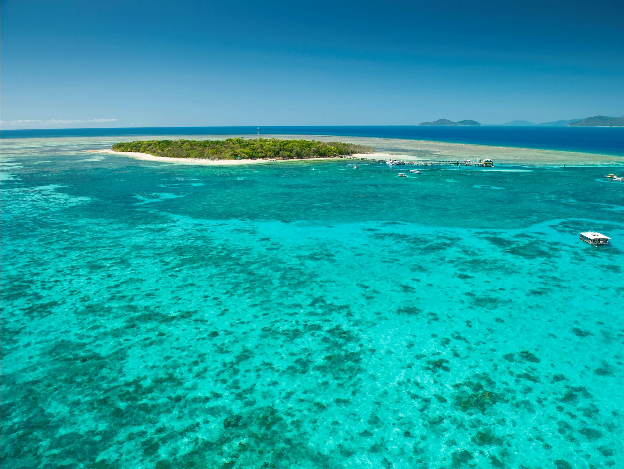 Great Barrier Reef Green Island Big Cat Great Barrier Reef Green Island Big Cat