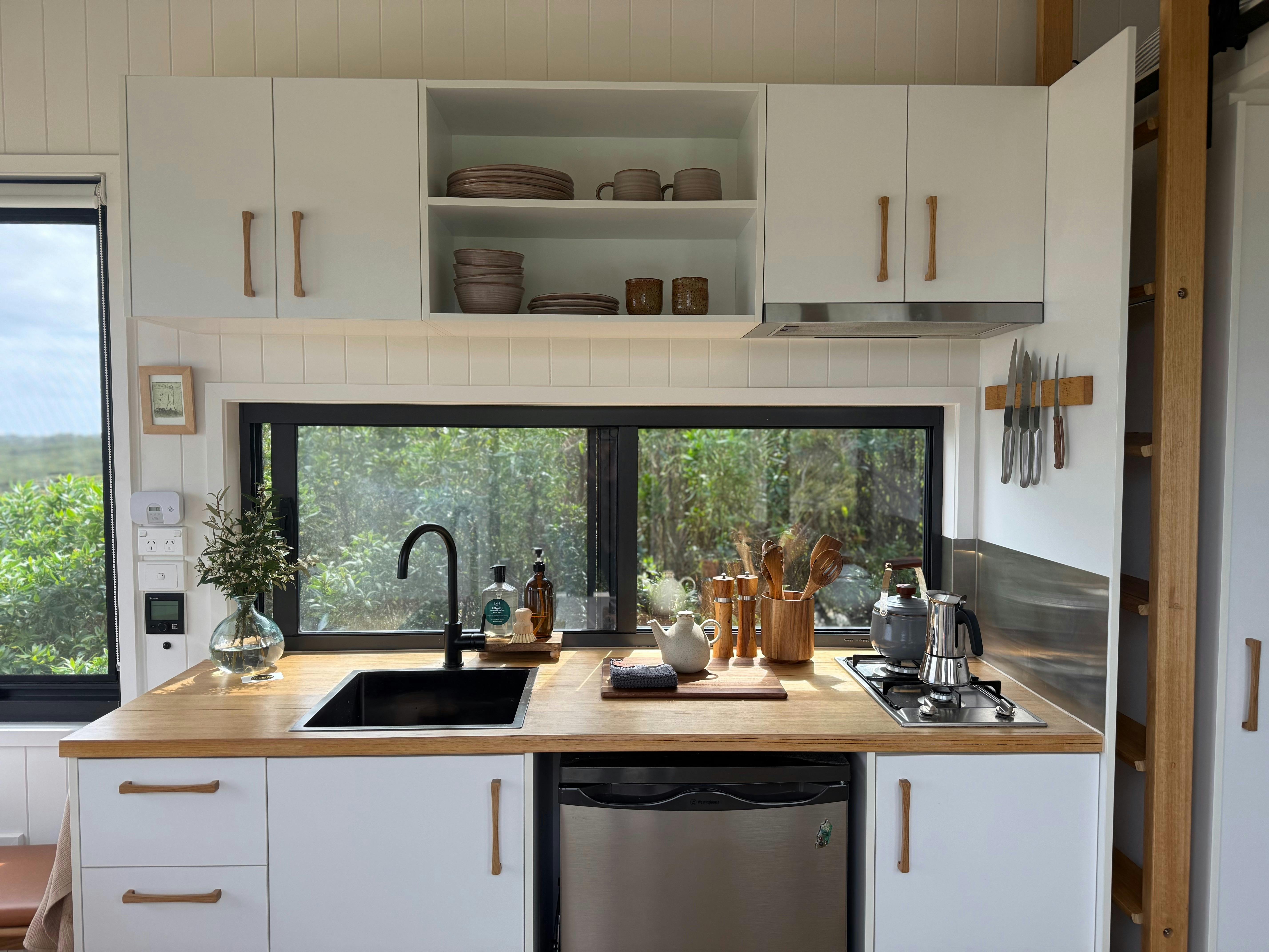 Olearia King Island