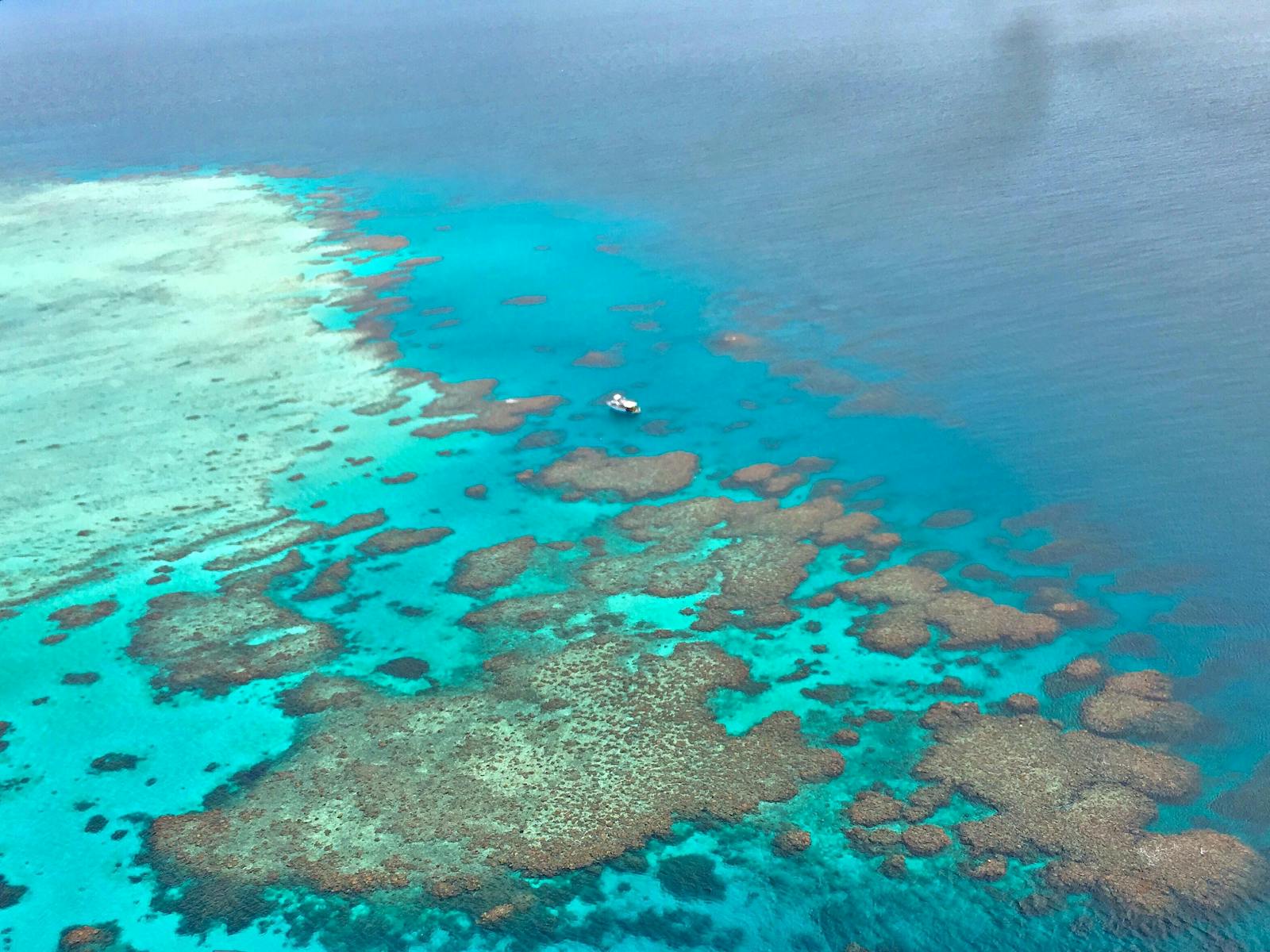 Lodestone Reef - Adrenalin Snorkel and Dive