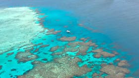 Lodestone Reef - Adrenalin Snorkel and Dive