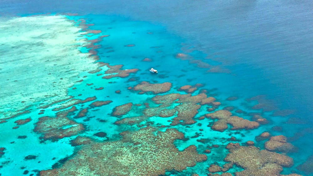 Adrenalin Snorkel and Dive