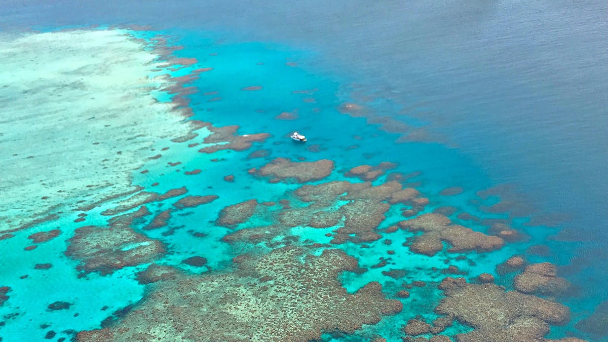 Lodestone Reef - Adrenalin Snorkel and Dive