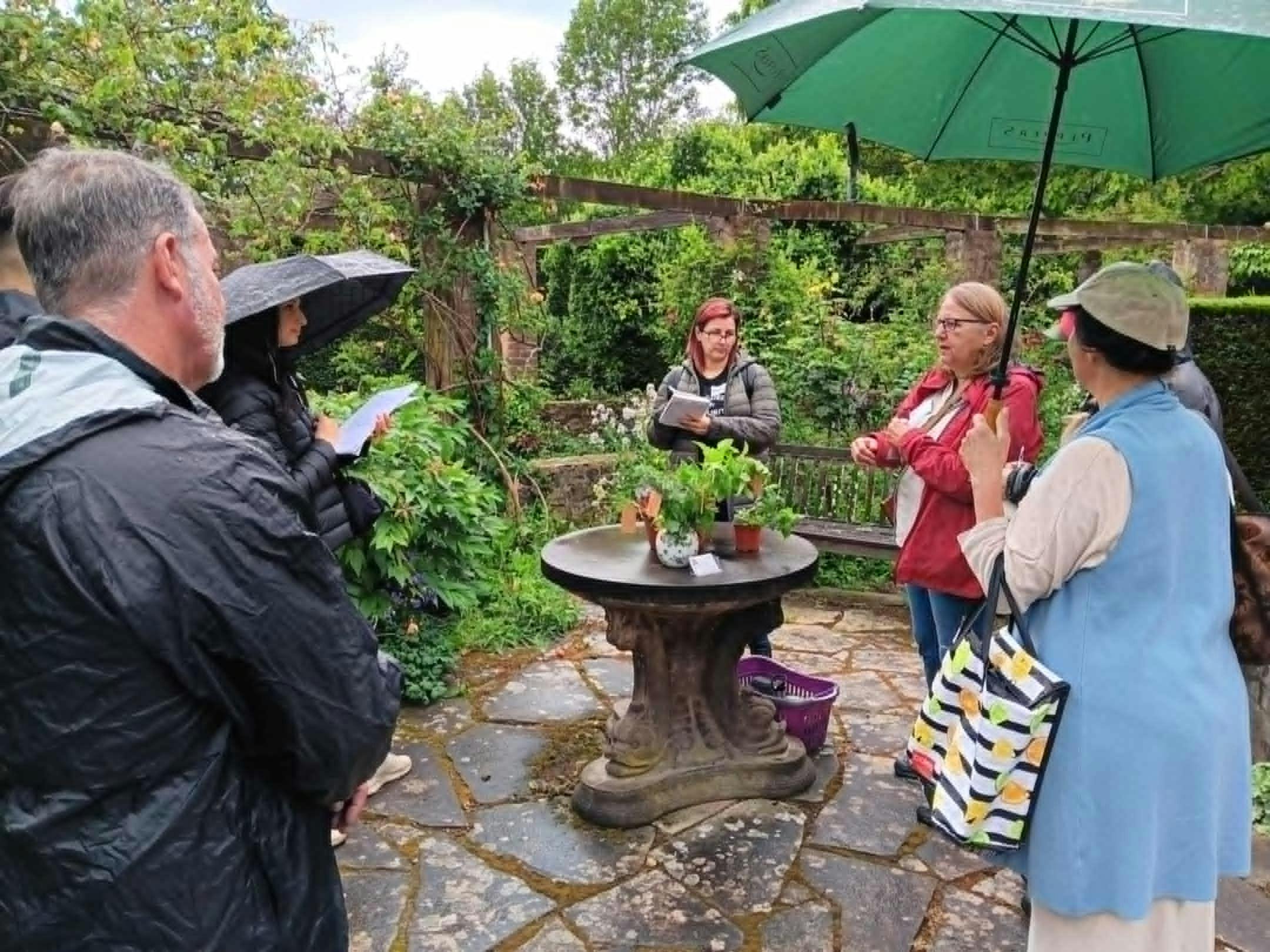Danuta is talking about Lemon  Balm