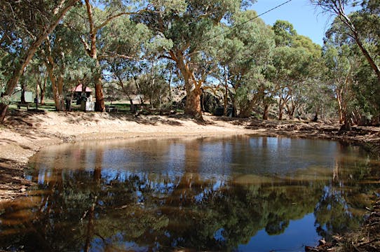 Orroroo Caravan Park - Orroroo, Accommodation | South Australia