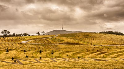 CGT Highlights Tour - National Arboretum Canberra
