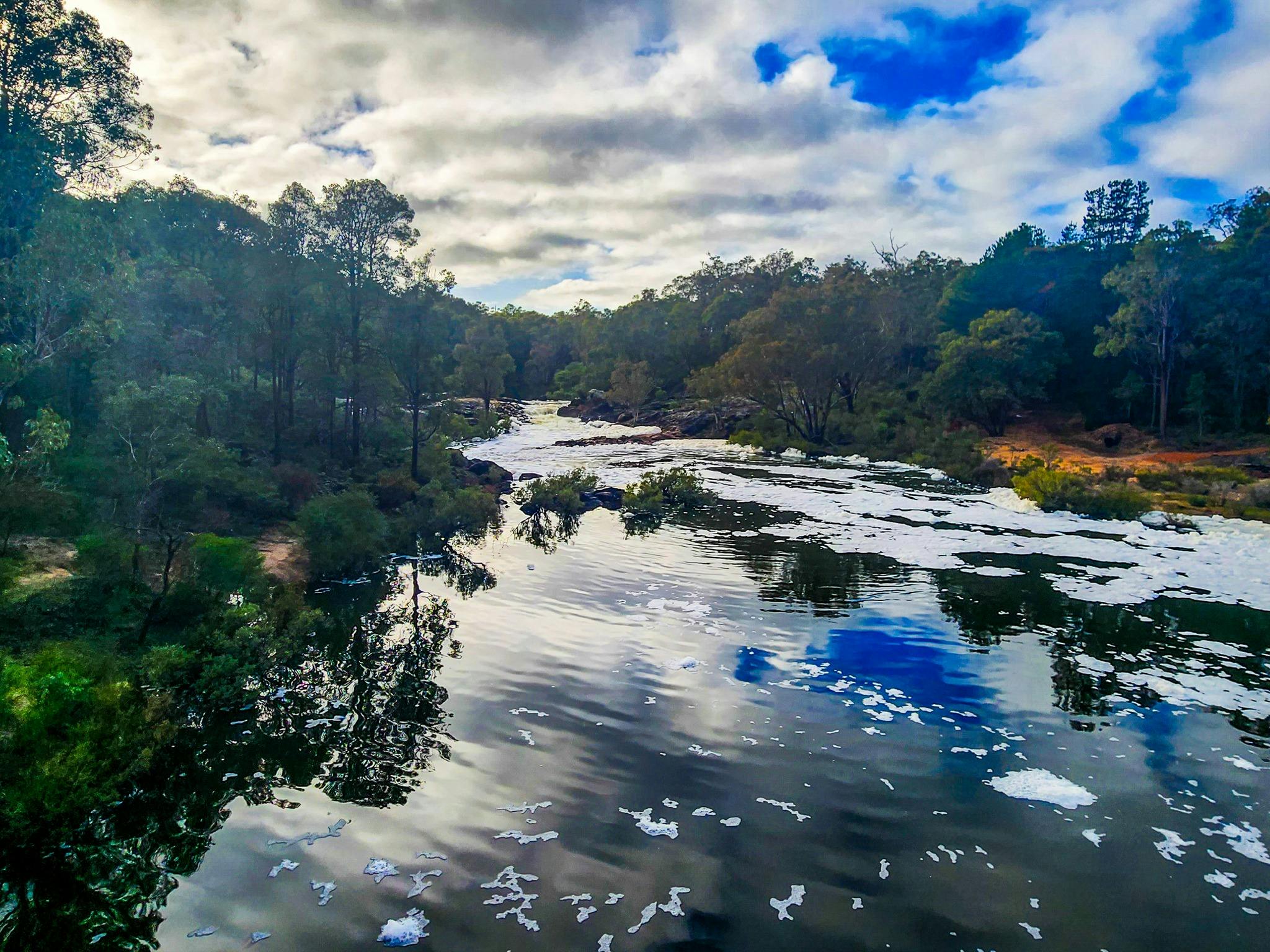 Murray River, Lane Poole Reserve