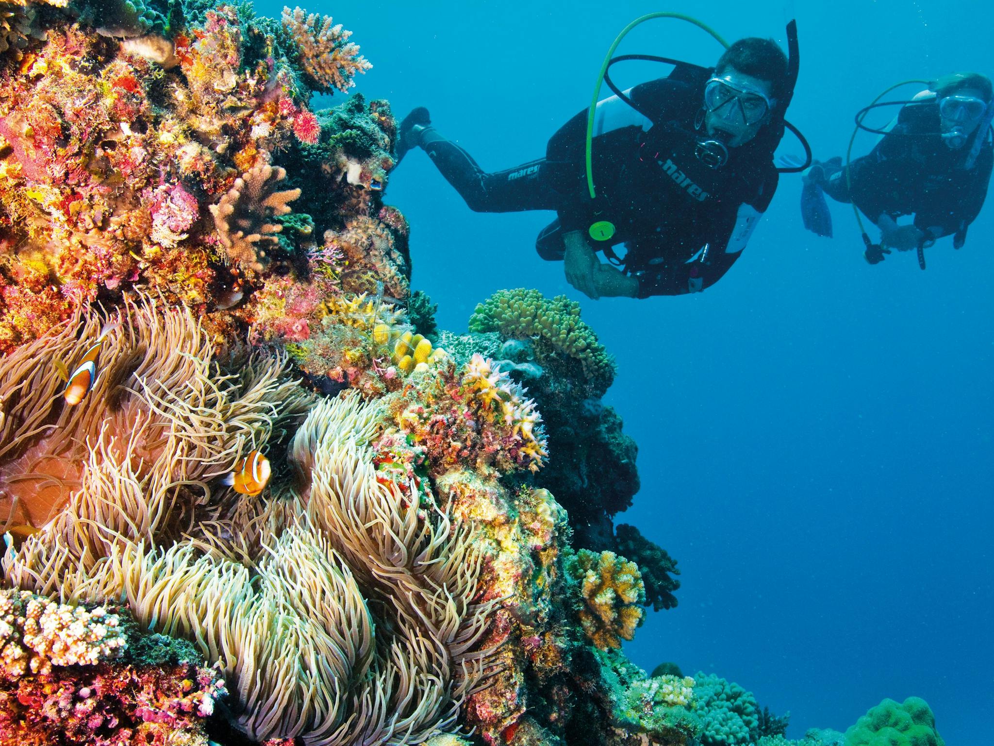 Diving Great Barrier Reef Diving Great Barrier Reef