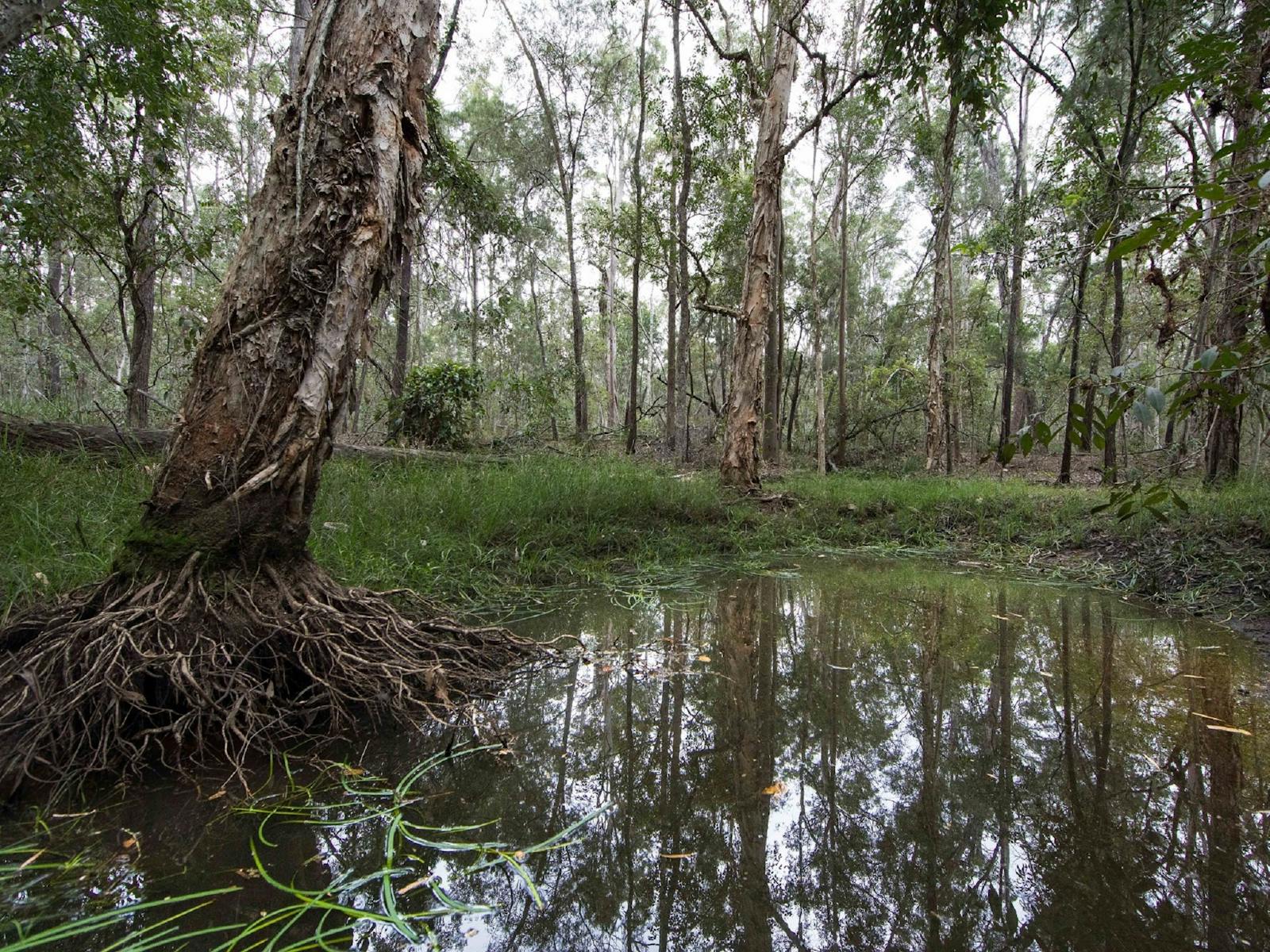 Sheepstation Creek Conservation Park