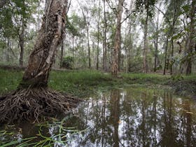 Sheep_Station_Creek_Park_water_trails_caboolture_moreton_bay_region