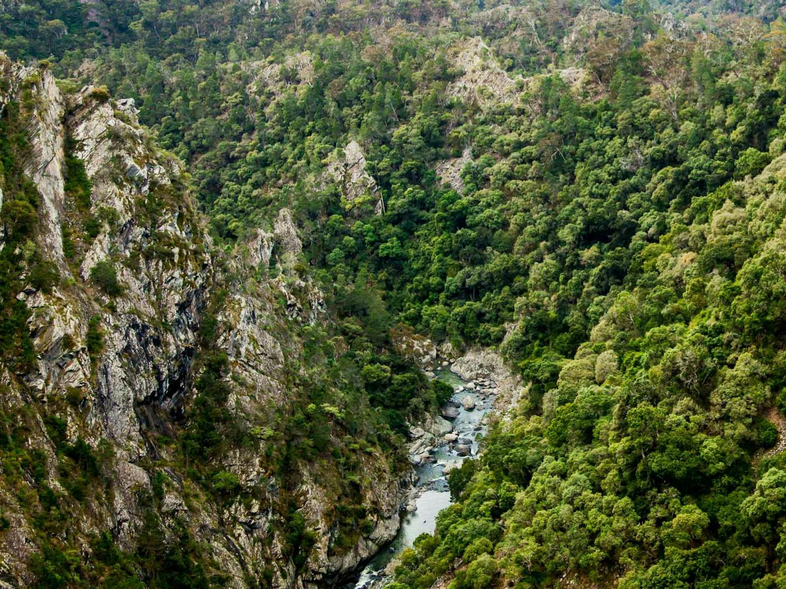 Tiara walking track, Tia Falls. Photo: Gerhard Koertner/NSW Government.