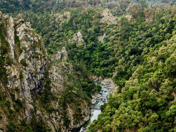 Tiara walking track, Tia Falls. Photo: Gerhard Koertner/NSW Government.