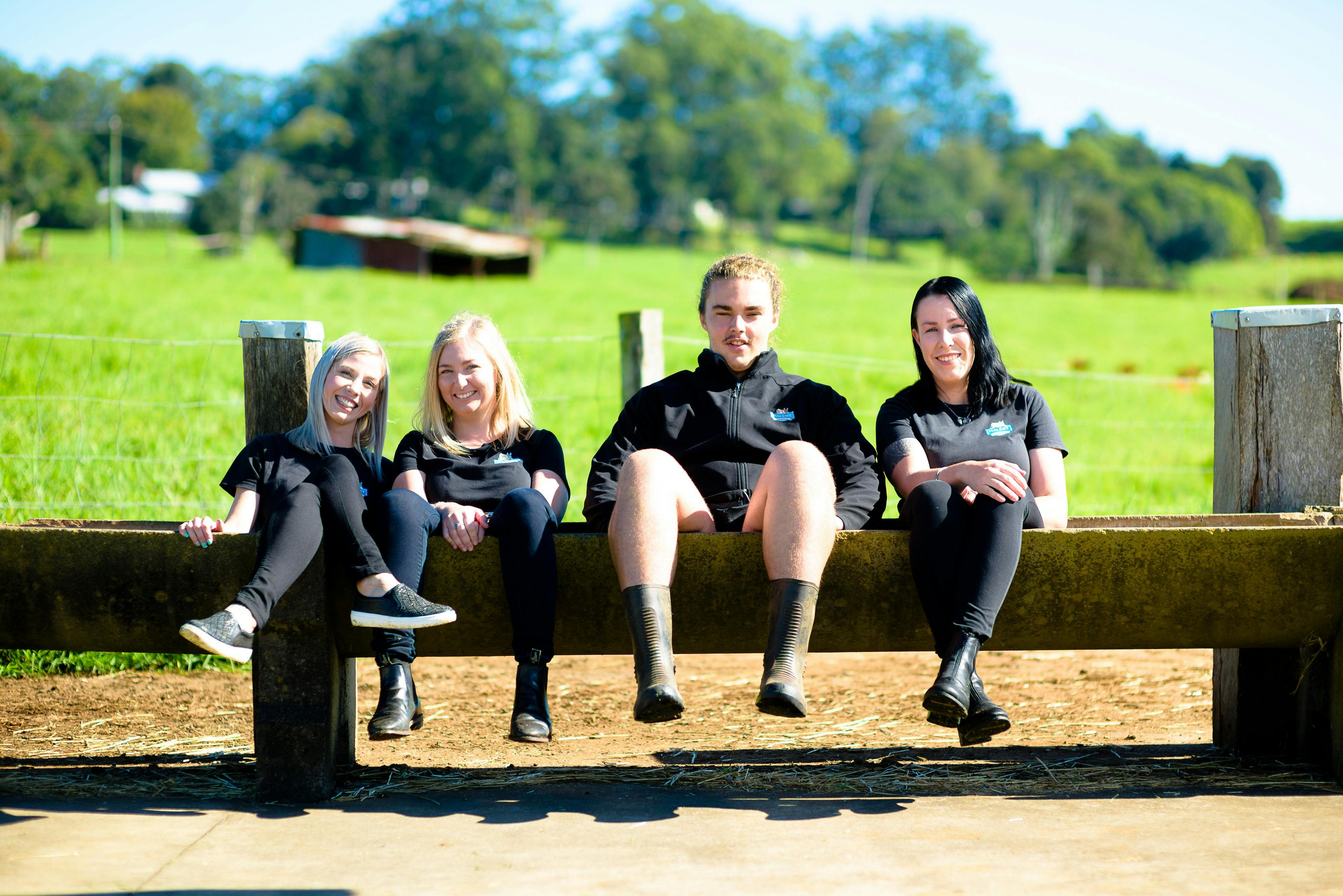 Maleny Dairies Tours Tours Queensland