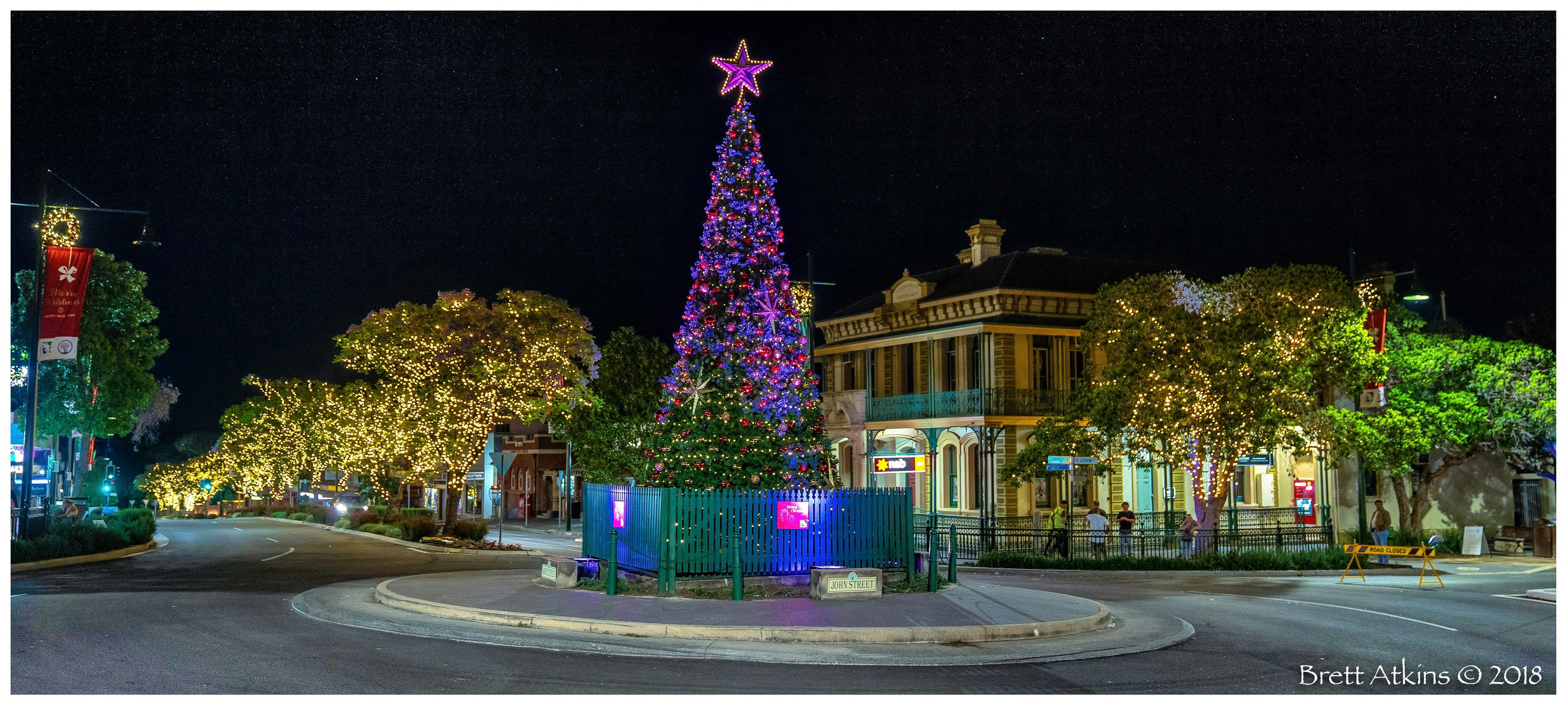 Camden Jacaranda Festival Sydney, Australia Official Travel