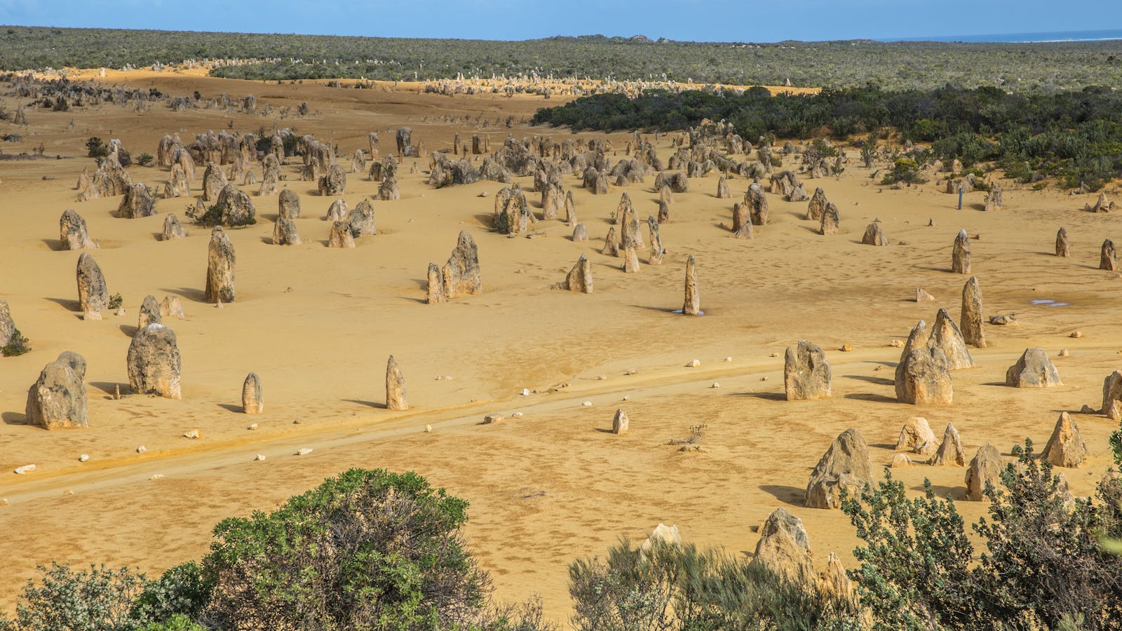 Pinnacles Desert Lookout and Drive