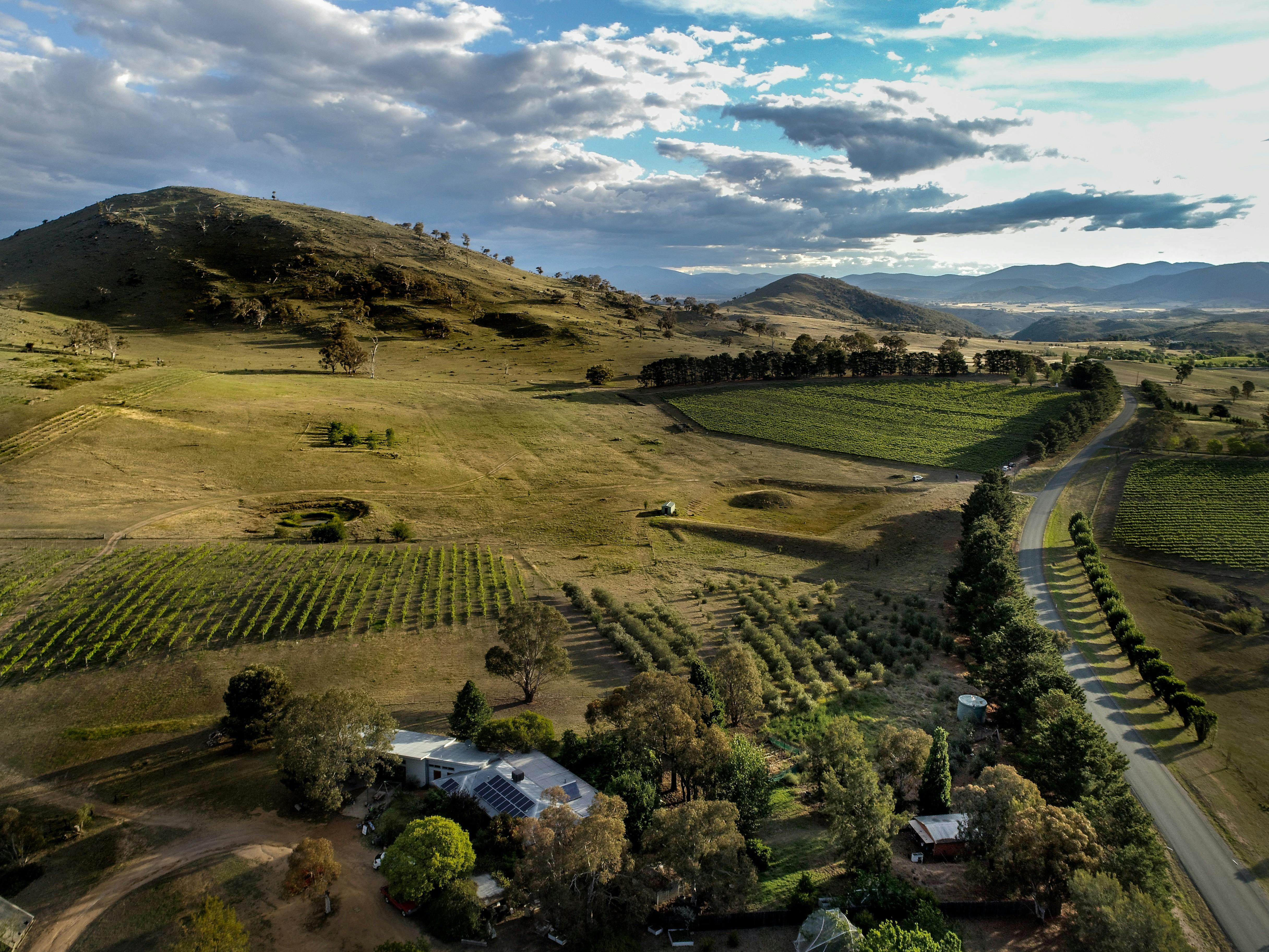 Surveyor's Hill Vineyards Visit Yass Valley