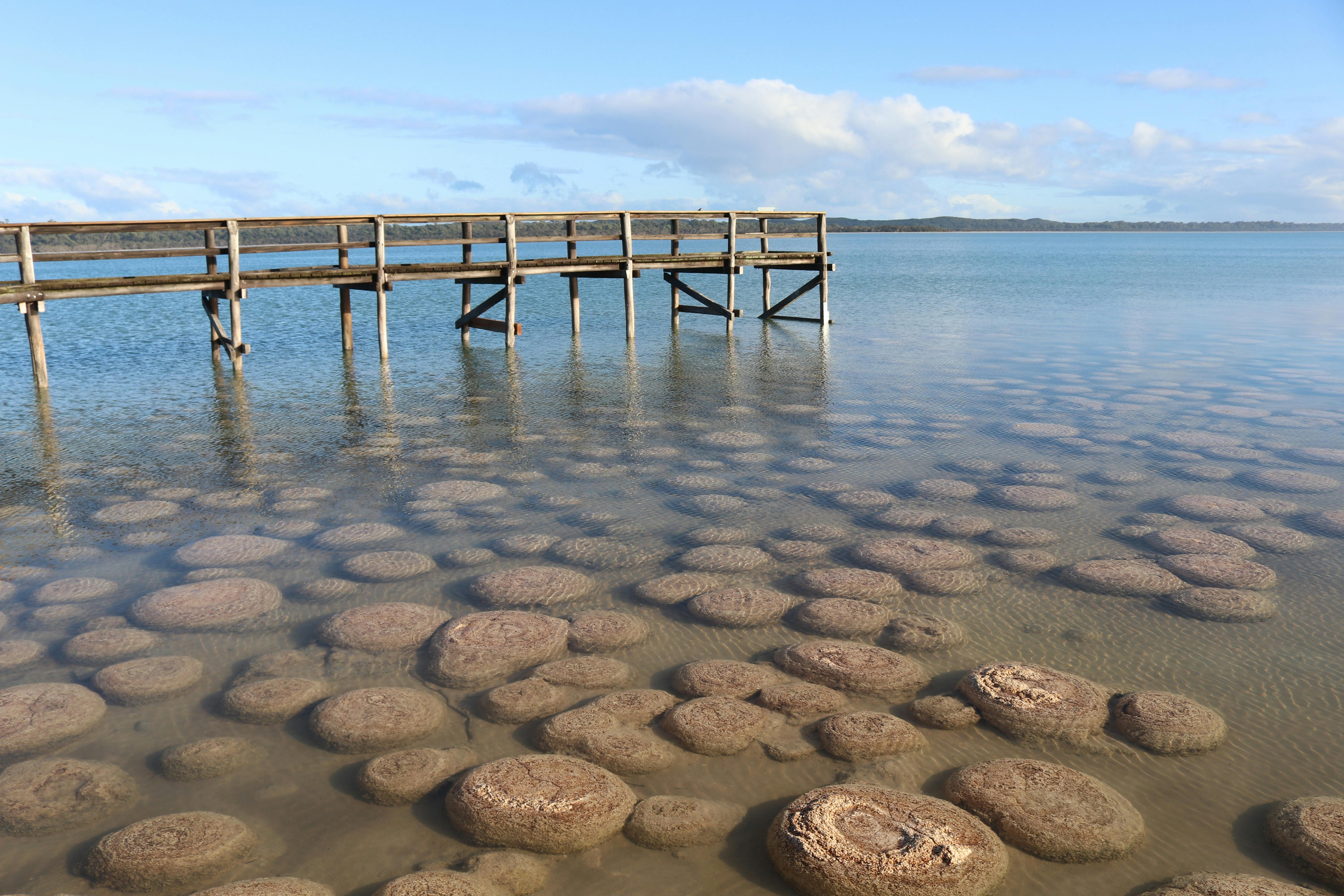 Salt and Bush Eco Tours, Herron, Western Australia