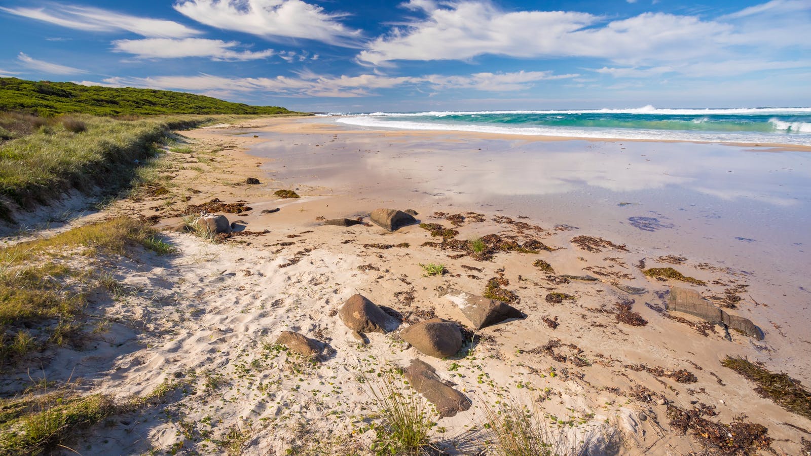 Bull Pup Beach