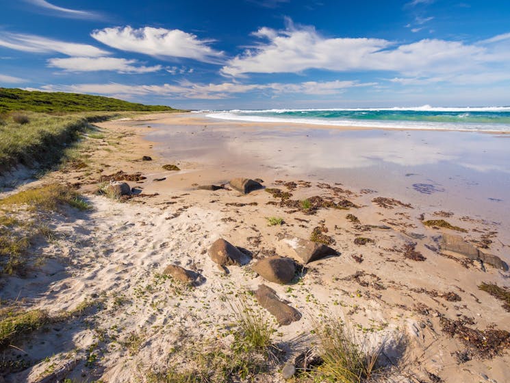 Bull Pup Beach