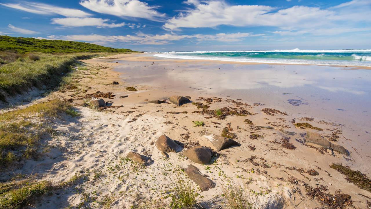 Bull Pup Beach