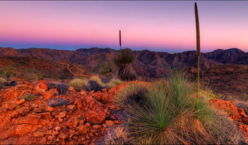 Flinders Ranges