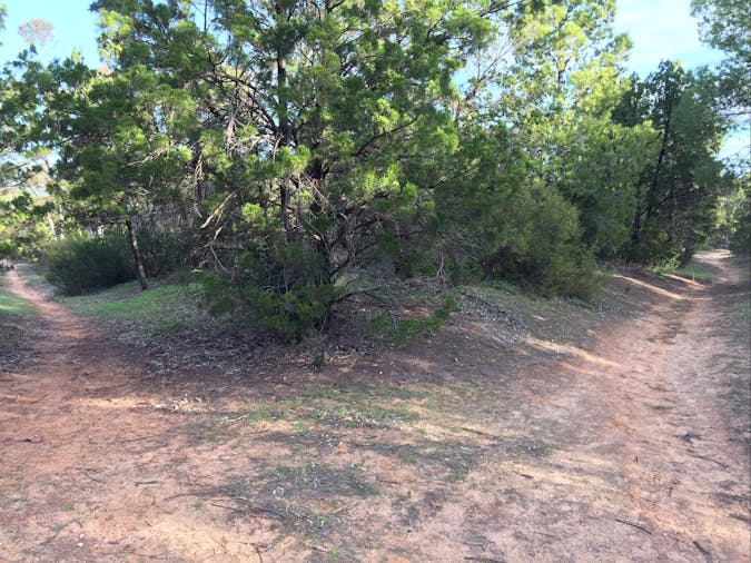 Victoria Park Moonta monthly walks